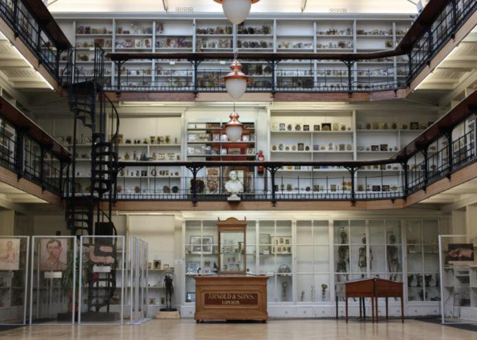 الشقق الفندقية لندنفي  Herbal Hill Farringdon المظهر الخارجي الصورة